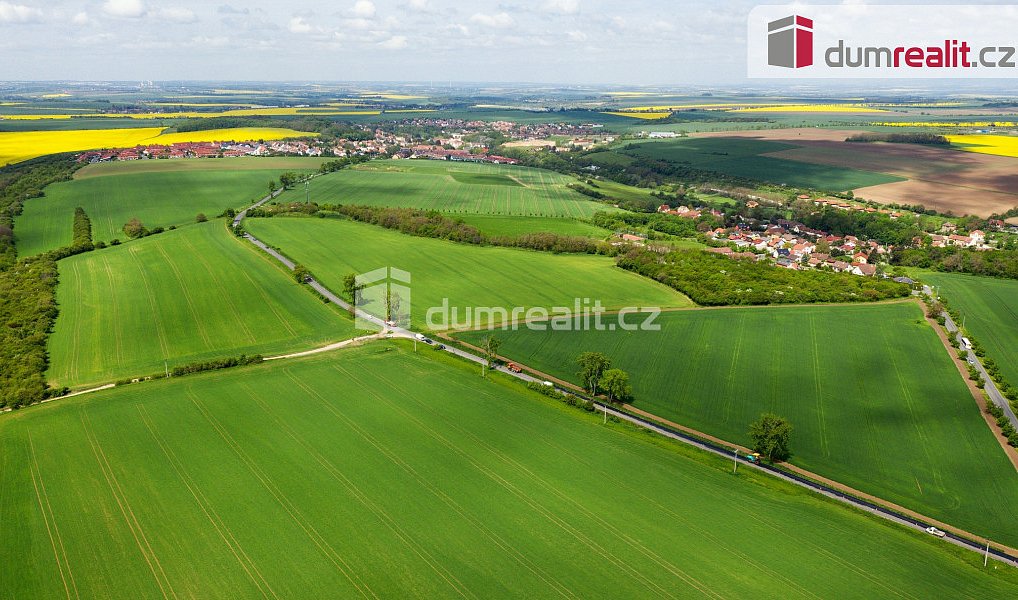 Prodej louky 67 156 m², Velké Přílepy – náhled fotky 4