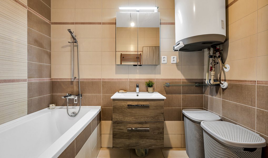 Prodej domu 150 m² s pozemkem 437 m², Mladá Boleslav – náhled fotky 13