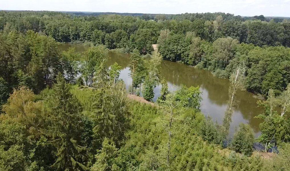 Prodej pole 130 000 m², Chlum u Třeboně – náhled fotky 12