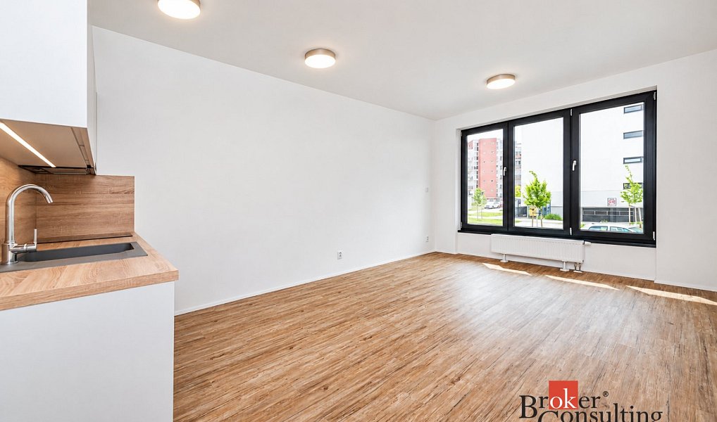 Pronájem bytu 1+kk 30 m², Plzeň – náhled fotky 2