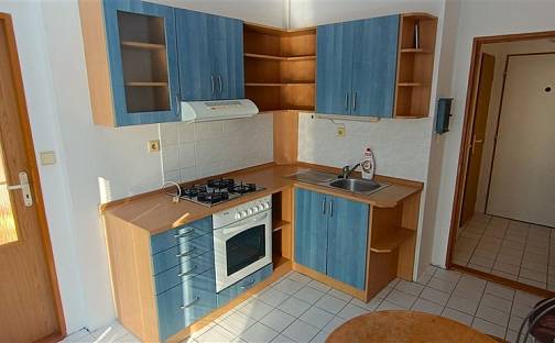 Prodej bytu 2+1 45 m², Zahradní, Plzeň - Východní Předměstí