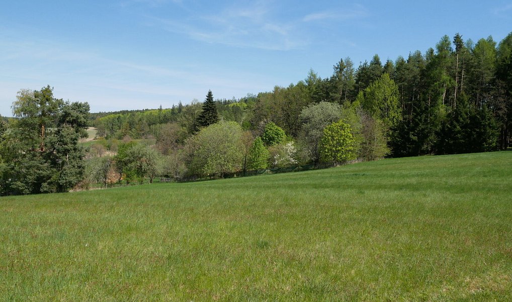 Prodej domu 159 m² s pozemkem 15 148 m², Neveklov – náhled fotky 5