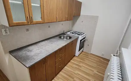 Pronájem bytu 1+1 37 m², Zdeňka Fibicha, Most