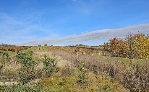 Prodej stavebního pozemku 814 m², Starý Poddvorov, okres Hodonín