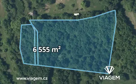 Prodej lesa 1 311 m², Žitenice, okres Litoměřice