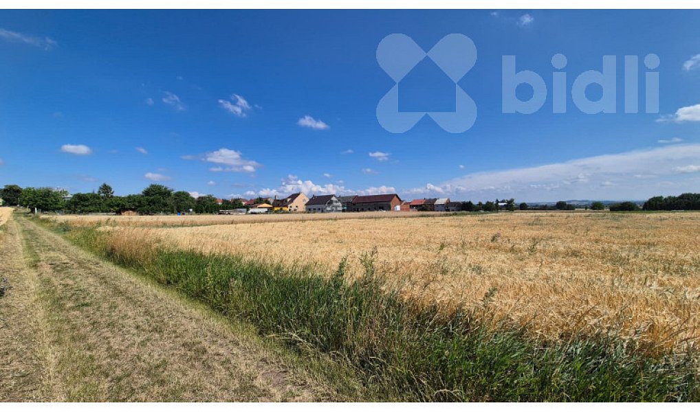Prodej pole 3 577 m², Stará Ves – náhled fotky 2