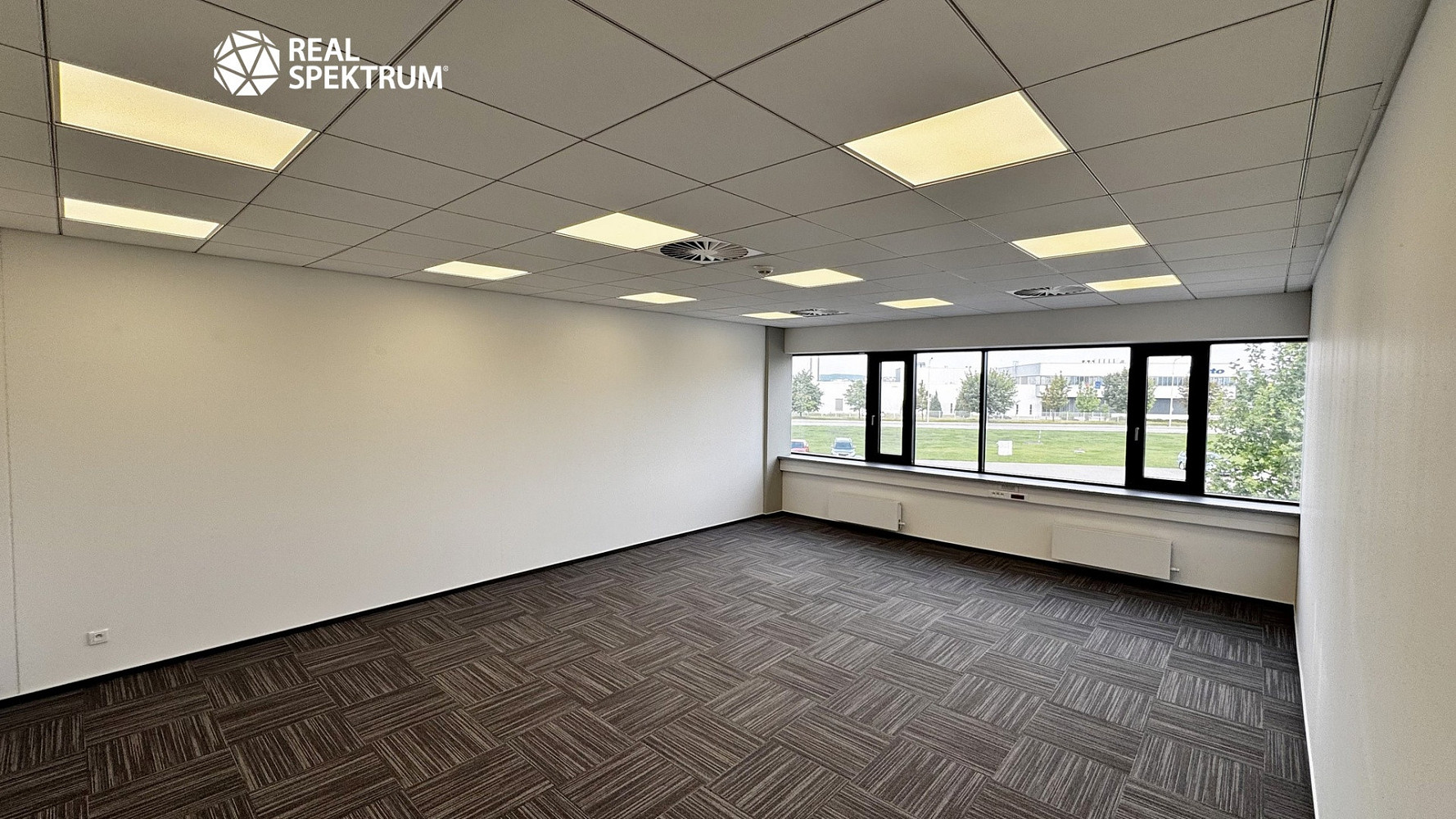 Pronájem kanceláře 294 m² – fotografie 4