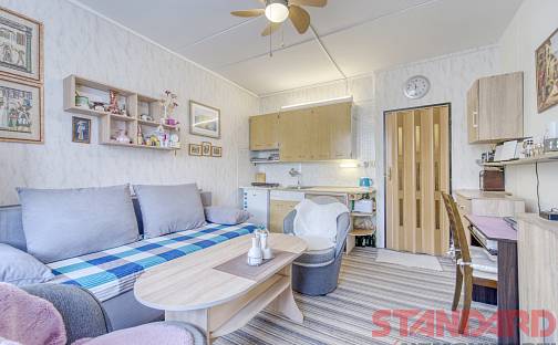 Prodej bytu 1+kk 20 m², Luďka Pika, Plzeň - Doudlevce