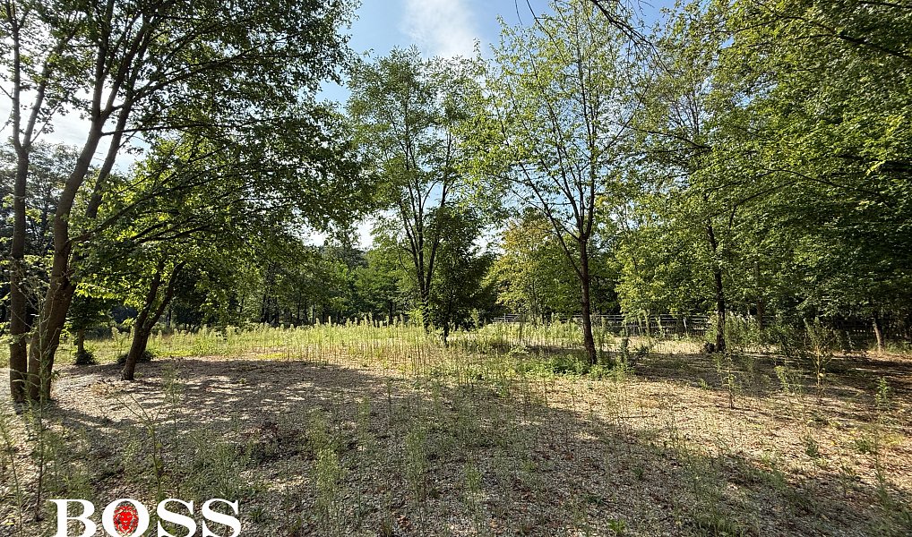 Prodej komerčního pozemku 15 862 m², Slabce – náhled fotky 26