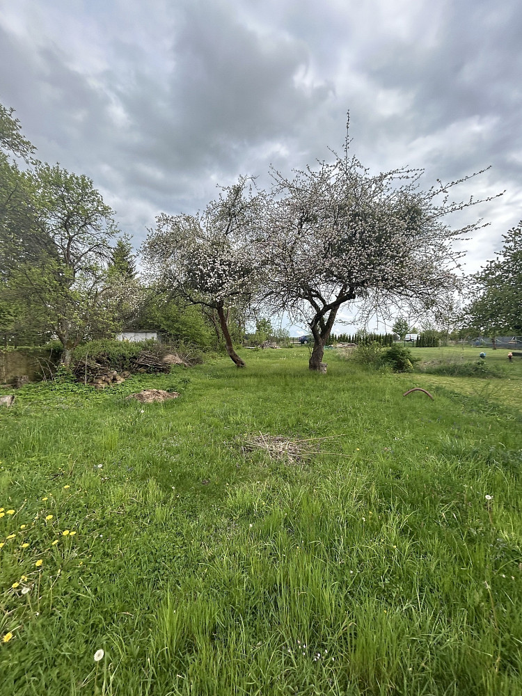 Prodej zahrady 874 m²