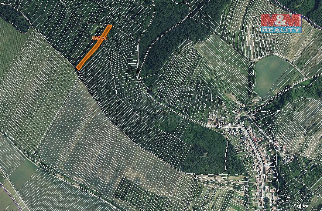 Prodej lesa 3 219 m² – fotografie 3