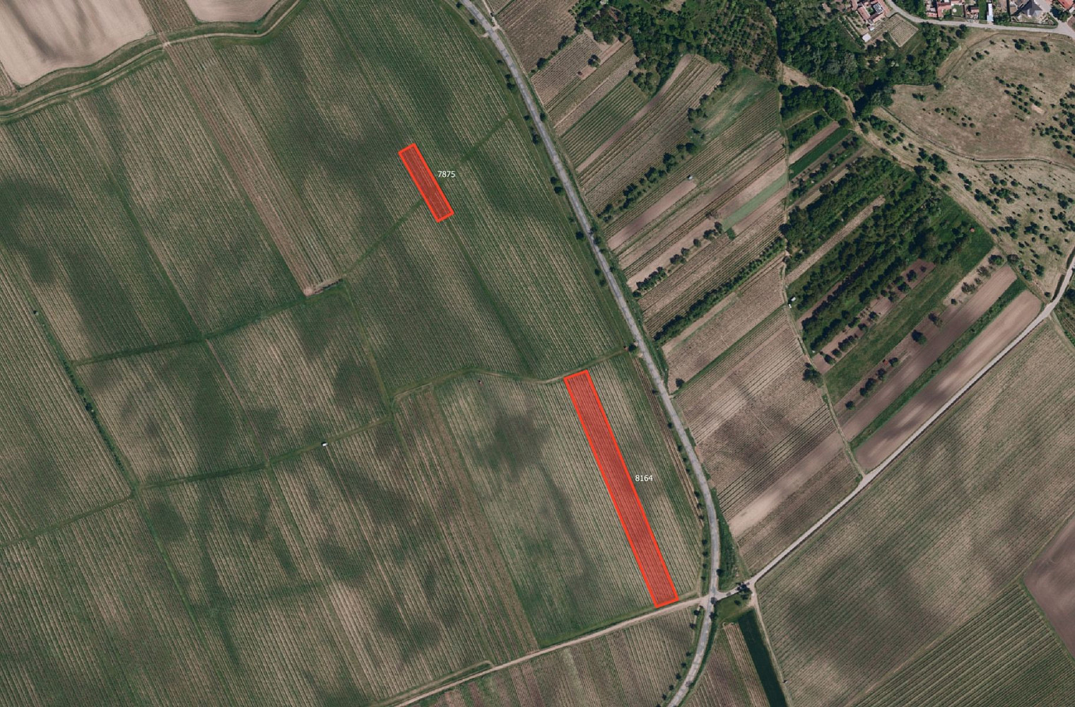 Prodej pole 33 801 m² — photo 3