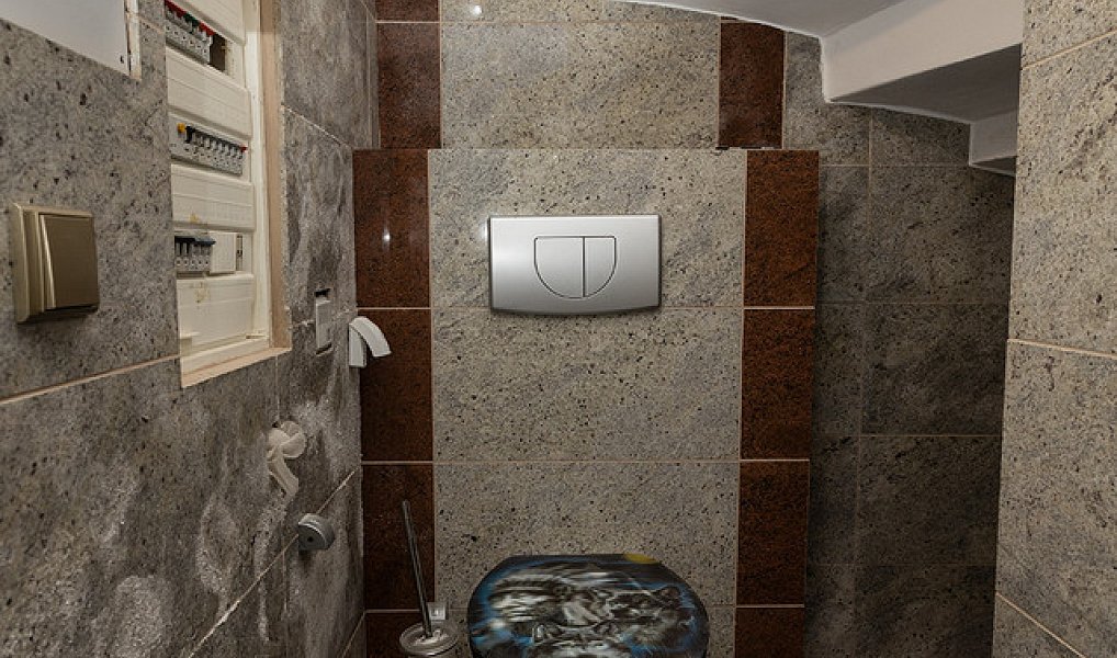 Prodej domu 500 m² s pozemkem 1 839 m², Plesná – náhled fotky 21