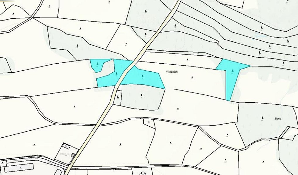 Prodej lesa 7 493 m², Proseč – náhled fotky 3