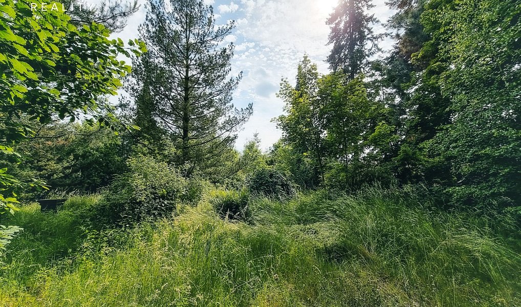Prodej stavebního pozemku 850 m², Plzeň – náhled fotky 10