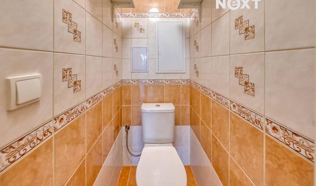 Prodej bytu 3+1 69 m², Lhenice – náhled fotky 11