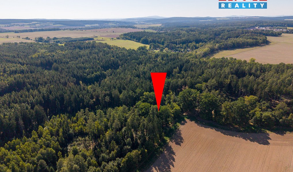 Prodej lesa 1 757 m², Cheb – náhled fotky 6