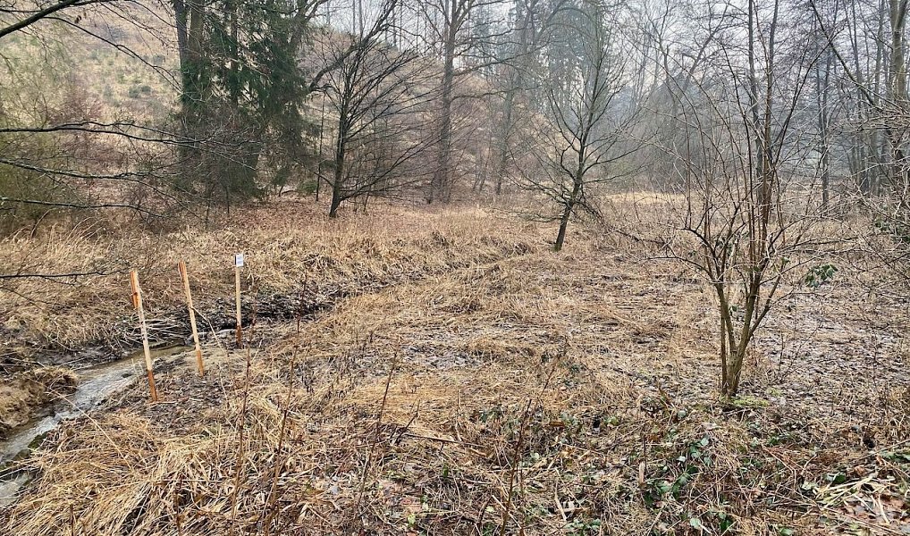 Prodej vodní plochy 8 264 m², Ondřejov – náhled fotky 12