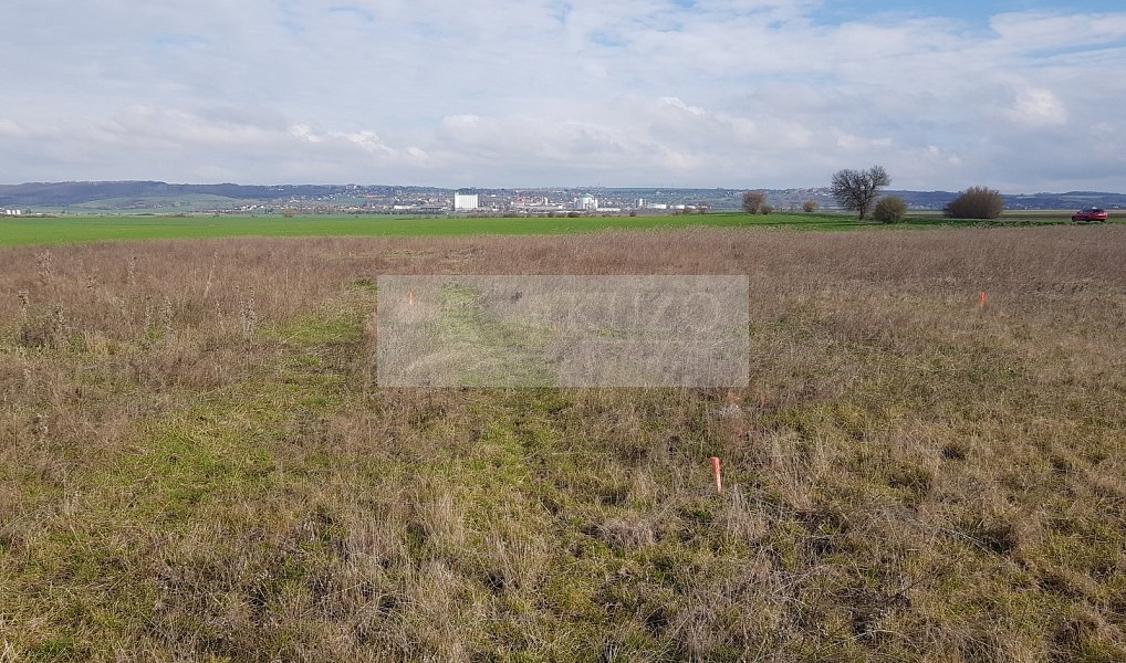 Prodej stavebního pozemku 806 m², Kosořice – náhled fotky 4