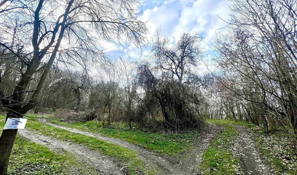 Prodej zahrady 6 042 m², Žatec – náhled fotky 6