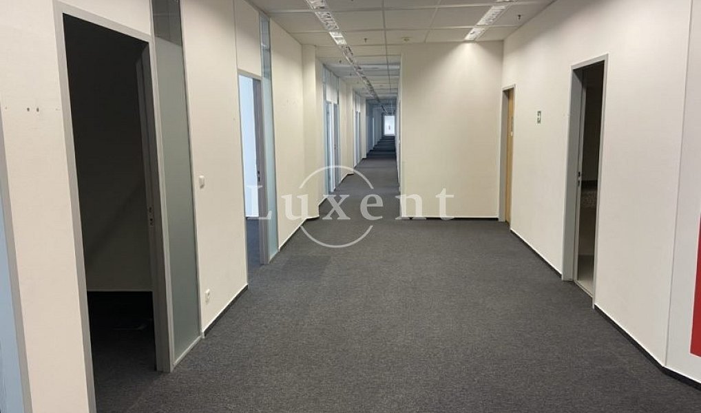 Pronájem kanceláře 290 m², Praha – náhled fotky 5