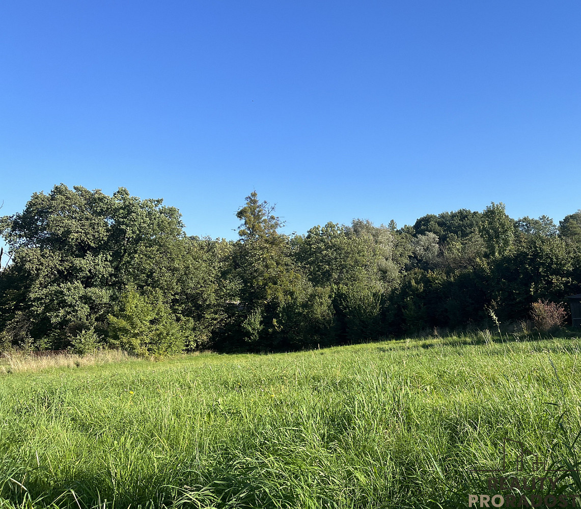 Prodej komerčního pozemku 2 450 m² – fotografie 5