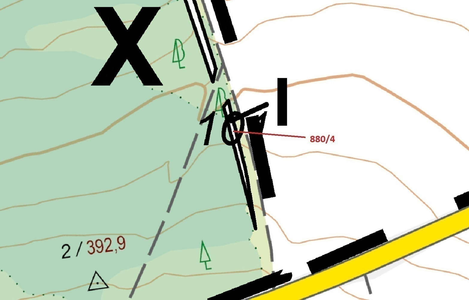 Dražba lesa 130 m² — photo 3