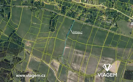 Prodej pole 2 939 m², Borovnice, okres Trutnov