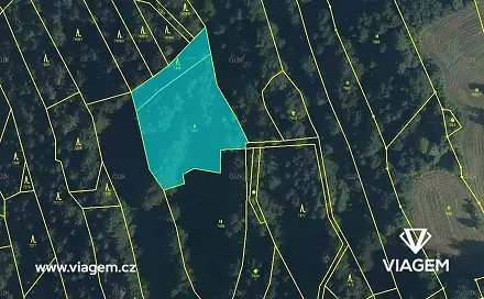Prodej lesa 879 m², Nový Hrozenkov, okres Vsetín