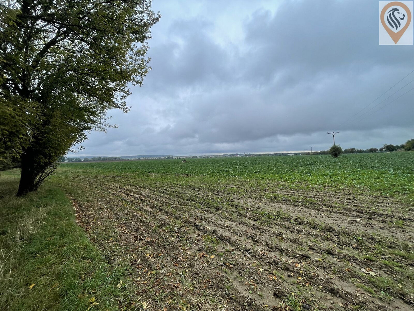 Prodej pole 7 001 m² – fotografie 5