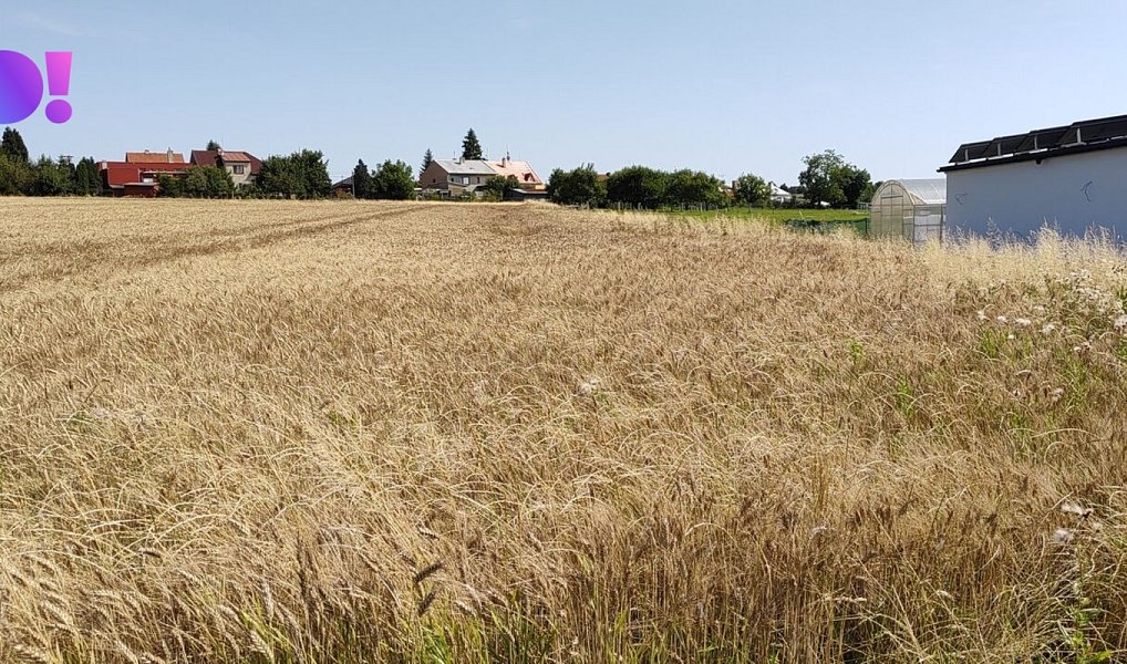 Prodej stavebního pozemku 5 182 m², Beňov – náhled fotky 9
