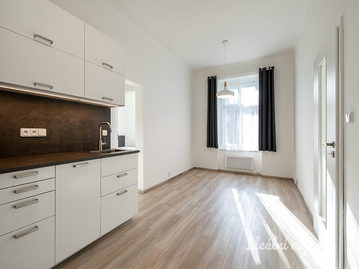 Pronájem bytu 2+kk 40 m² – fotografie 2