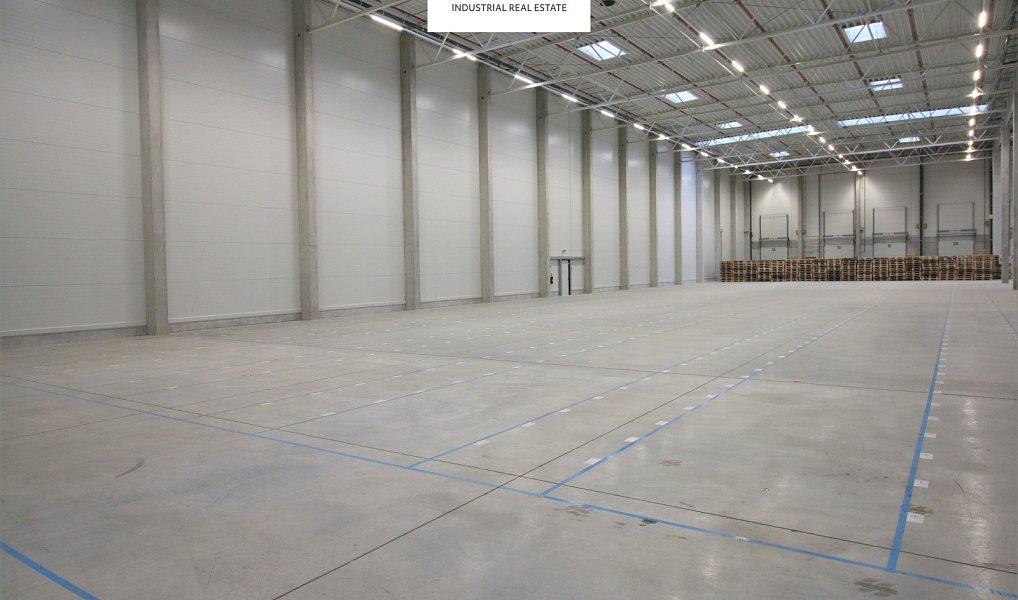 Pronájem skladovacích prostor 1 000 m², Pavlov – náhled fotky 3