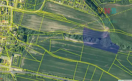 Prodej pole 13 276 m², Nepomuk, okres Plzeň-Jih