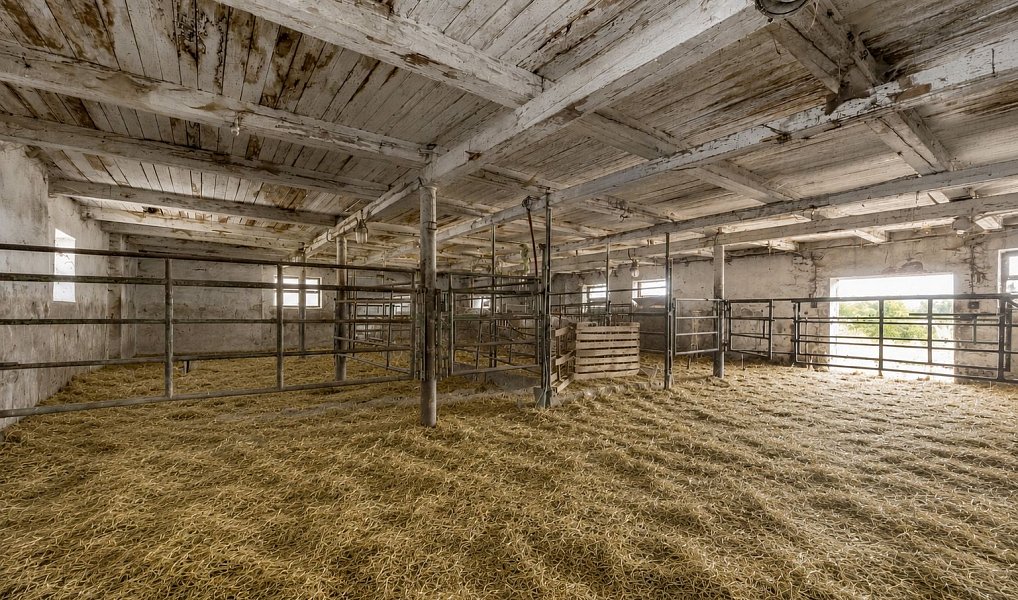 Prodej louky 301 614 m², Dolní Dvořiště – náhled fotky 23