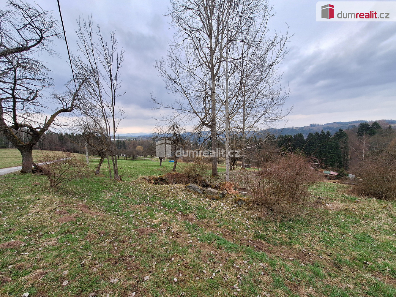 Fotka 11 z 30
