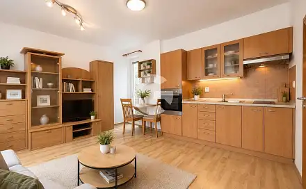 Prodej bytu 1+kk 28 m², Holešovská, Fryšták, okres Zlín