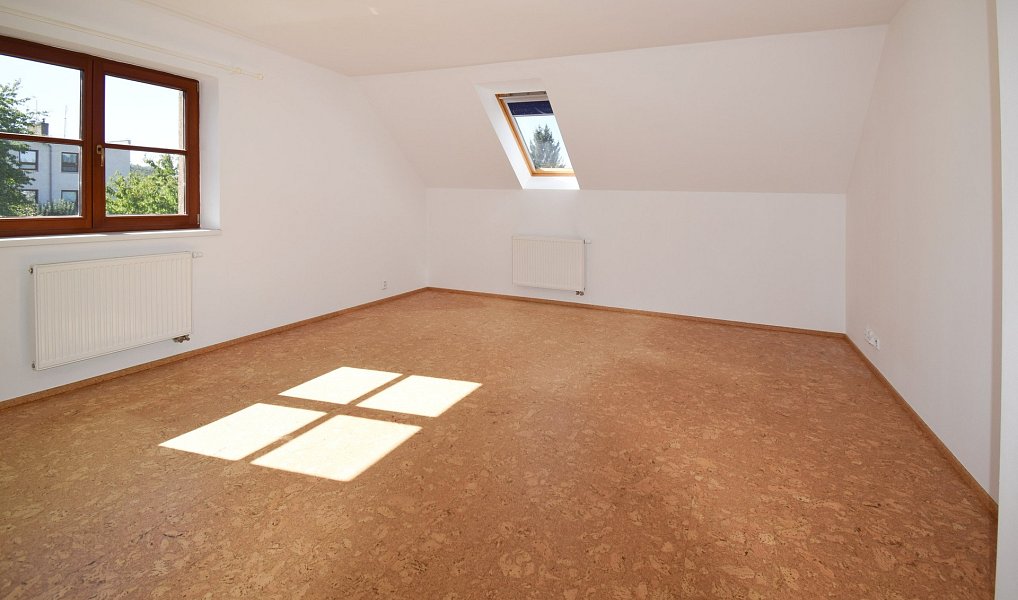 Pronájem domu 250 m² s pozemkem 775 m², Plzeň – náhled fotky 18