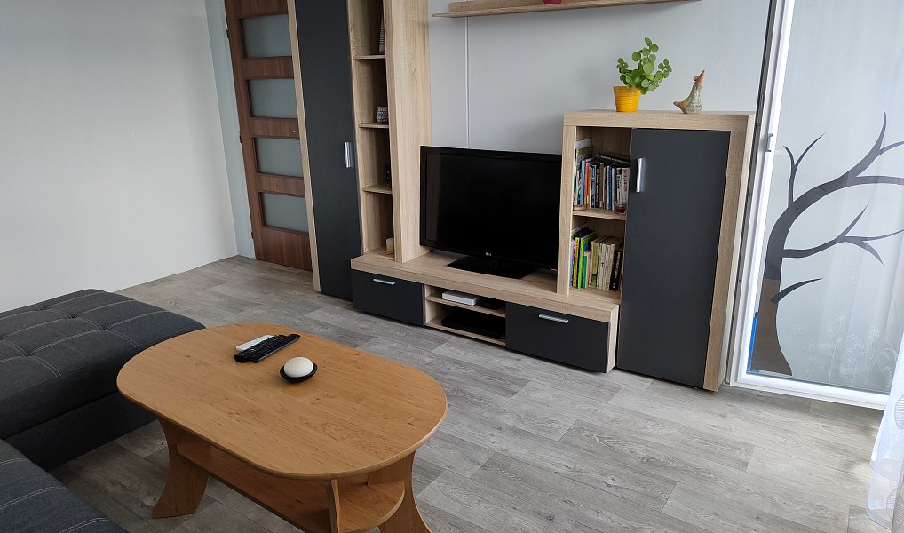 Pronájem bytu 3+1 67 m², Planá – náhled fotky 18