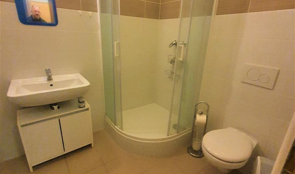 Pronájem bytu 1+1 33 m², Brno – náhled fotky 3