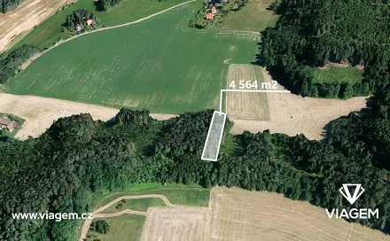 Prodej lesa 1 141 m², Bílá, okres Liberec