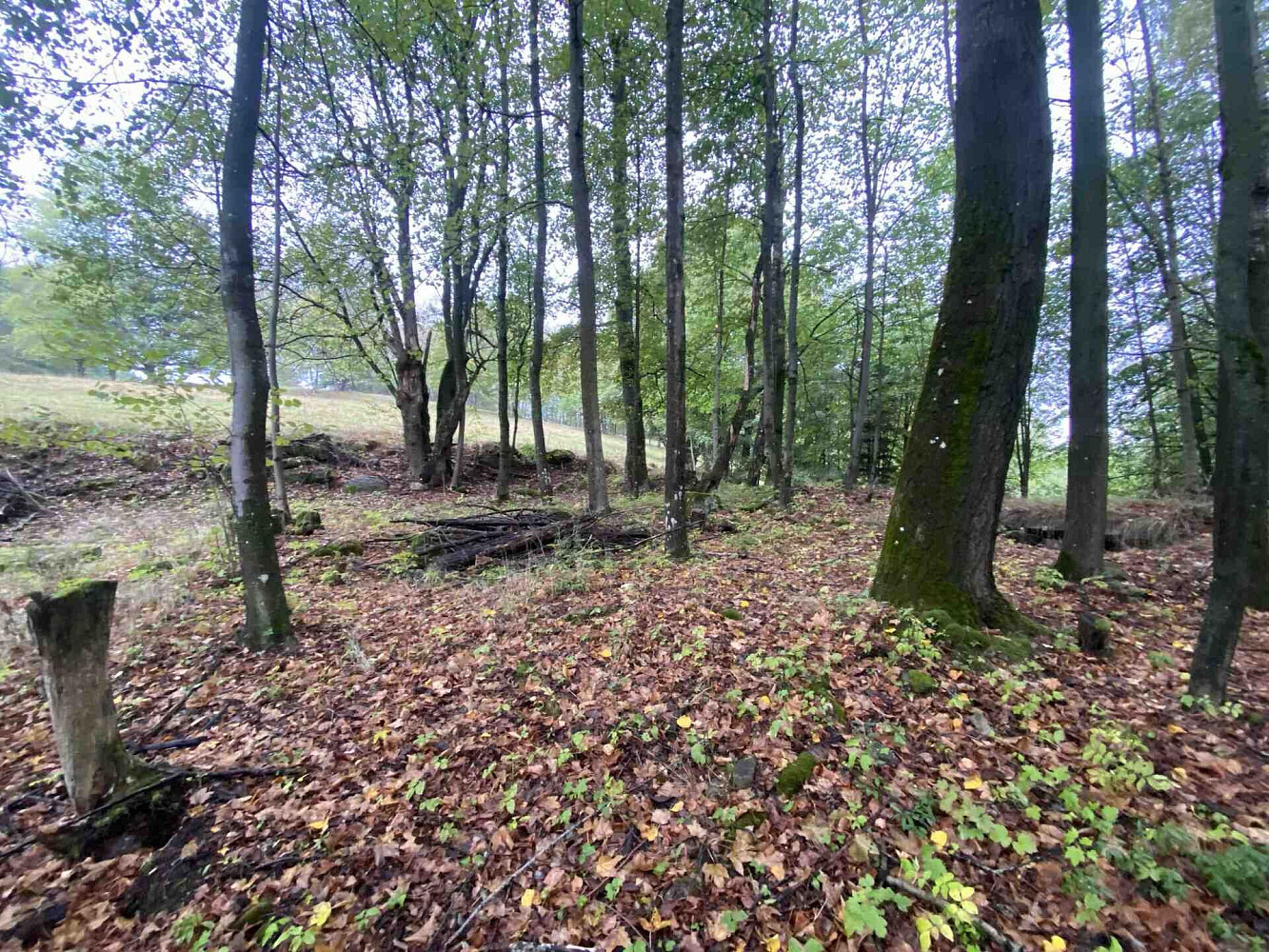 Prodej stavebního pozemku 3 849 m² – fotografie 5
