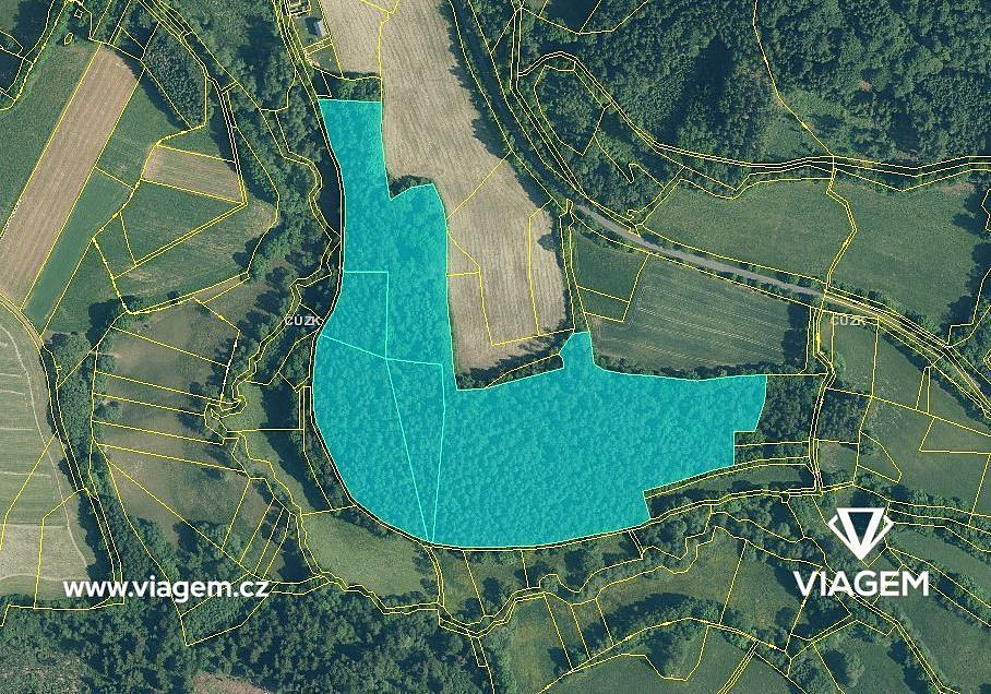 Prodej lesa 7 020 m² – pohled 3