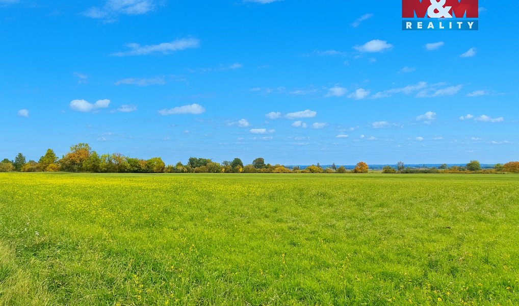 Prodej pole 15 909 m², Dolní Roveň – náhled fotky 6