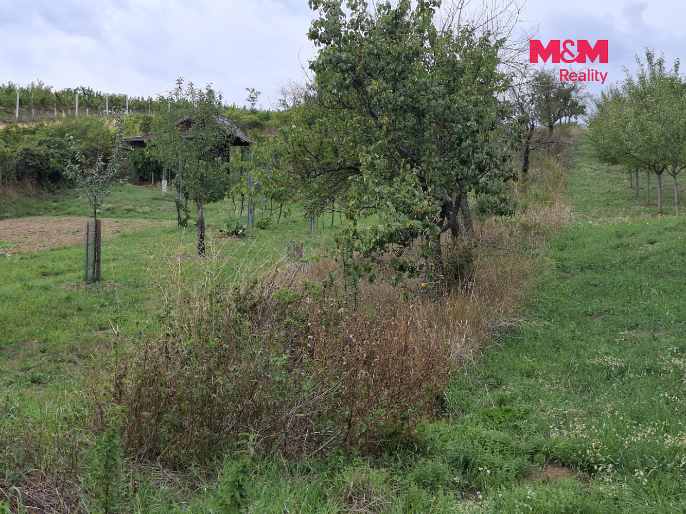 Prodej pole 610 m² – fotografie 4