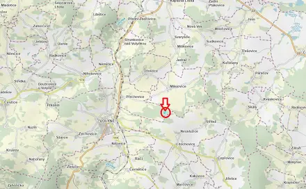 Prodej lesa 1 918 m², Milejovice - Drnovice