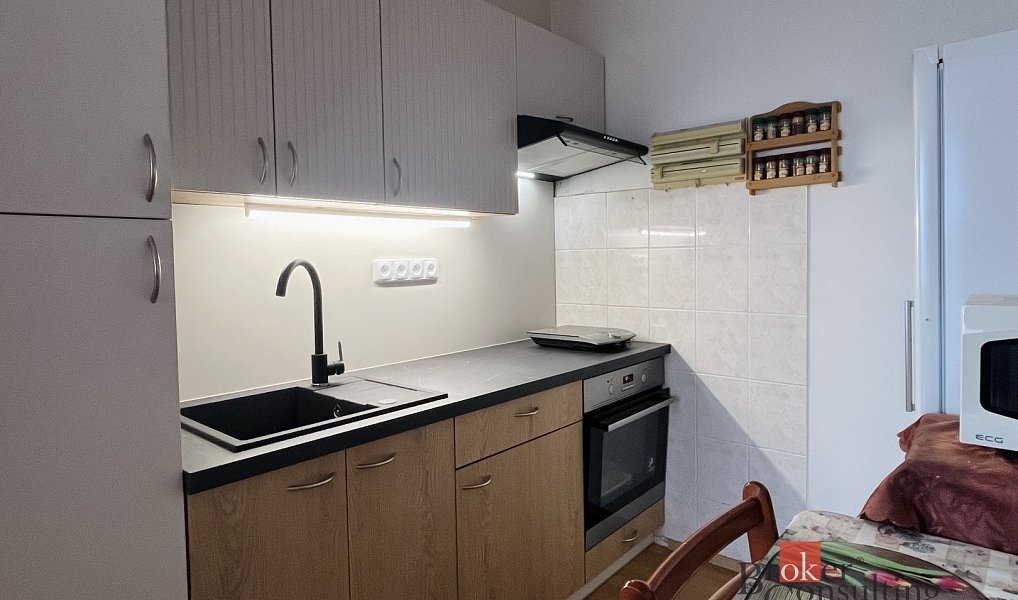 Pronájem bytu 1+kk 33 m², Rakovník – náhled fotky 3
