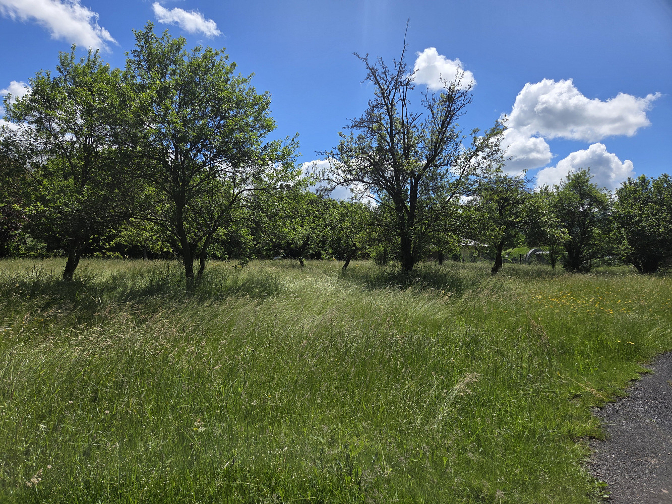 Prodej stavebního pozemku 2 087 m²