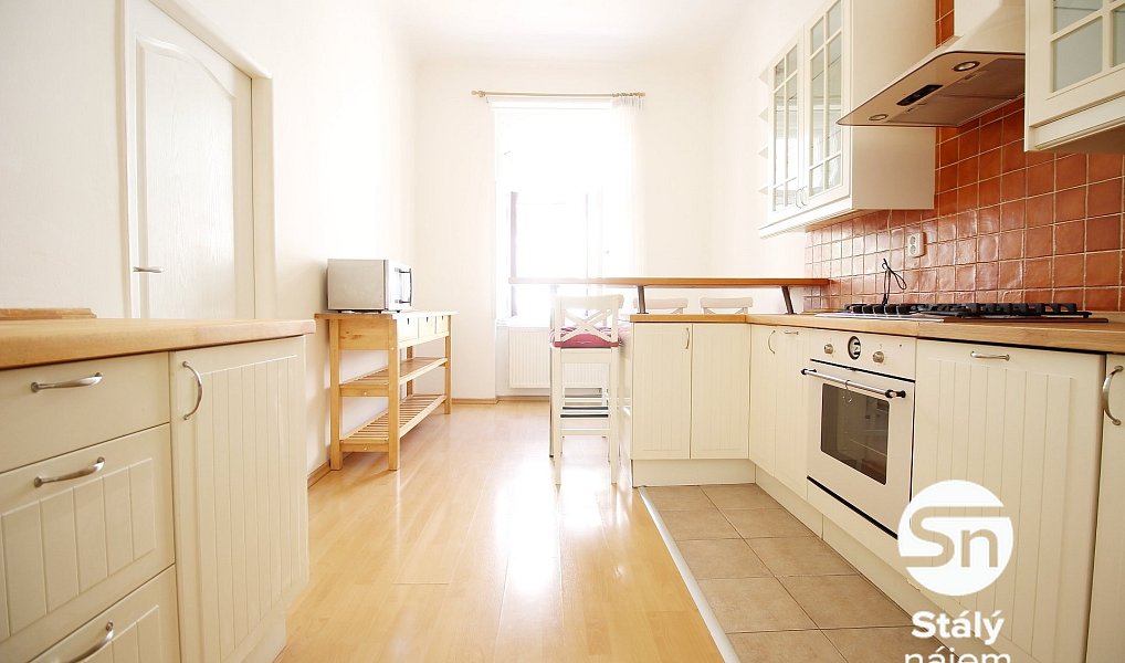 Pronájem bytu 1+1 47 m², Praha – náhled fotky 2
