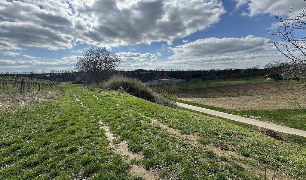 Prodej pozemku 1 540 m², Mutěnice – náhled fotky 3